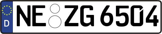 NE-ZG6504
