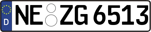 NE-ZG6513