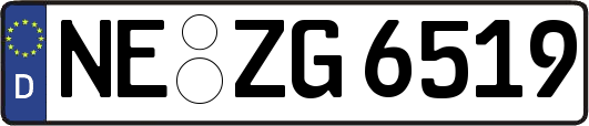 NE-ZG6519