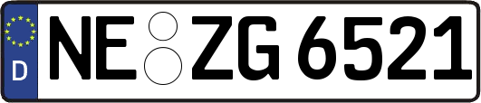 NE-ZG6521
