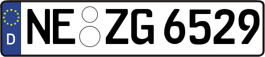 NE-ZG6529