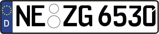 NE-ZG6530