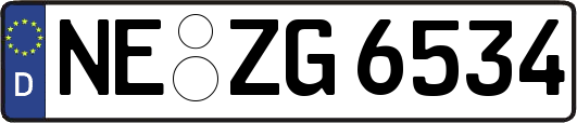 NE-ZG6534