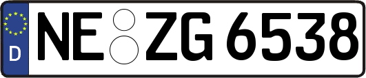 NE-ZG6538