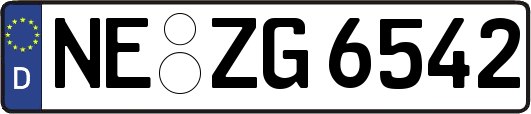 NE-ZG6542
