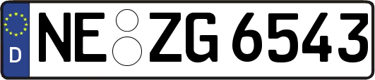 NE-ZG6543