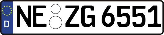 NE-ZG6551