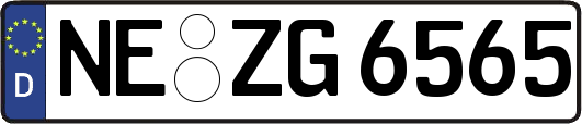 NE-ZG6565