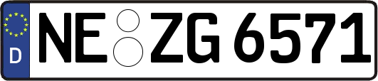 NE-ZG6571