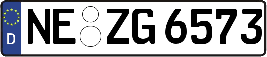 NE-ZG6573