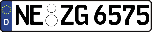 NE-ZG6575