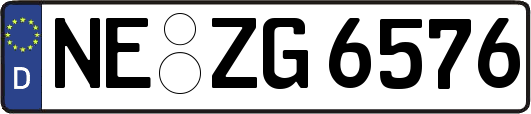 NE-ZG6576