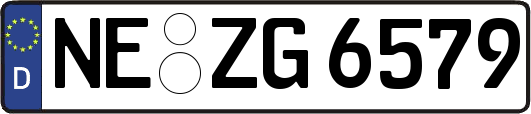 NE-ZG6579