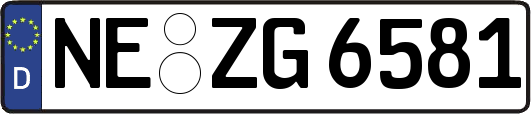 NE-ZG6581