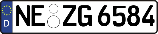 NE-ZG6584