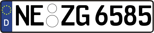 NE-ZG6585