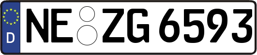 NE-ZG6593