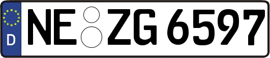 NE-ZG6597