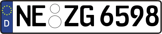NE-ZG6598