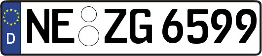 NE-ZG6599