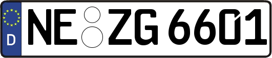 NE-ZG6601