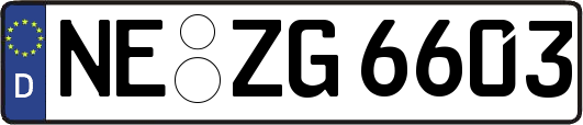 NE-ZG6603