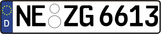 NE-ZG6613