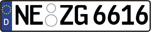 NE-ZG6616