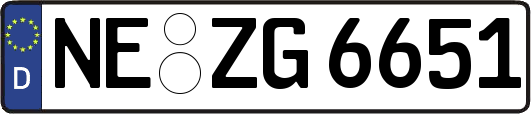NE-ZG6651