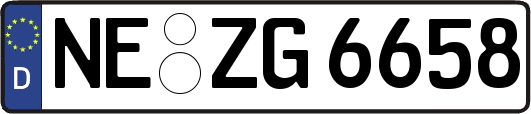 NE-ZG6658
