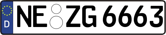 NE-ZG6663