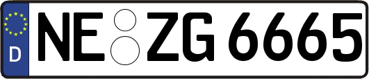 NE-ZG6665