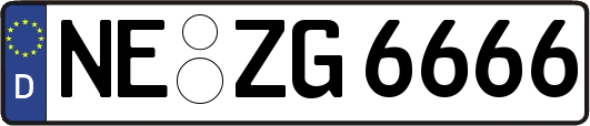 NE-ZG6666