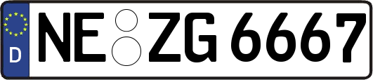 NE-ZG6667