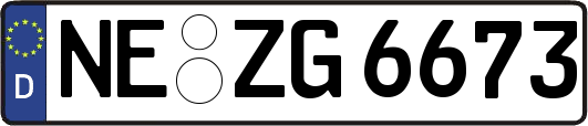 NE-ZG6673