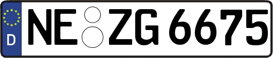 NE-ZG6675