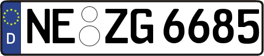 NE-ZG6685