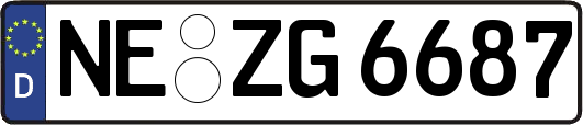 NE-ZG6687
