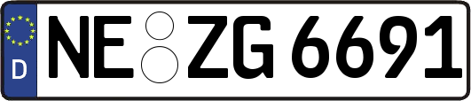 NE-ZG6691