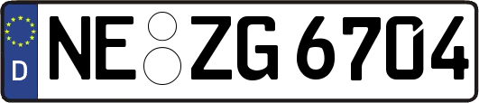 NE-ZG6704