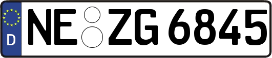NE-ZG6845