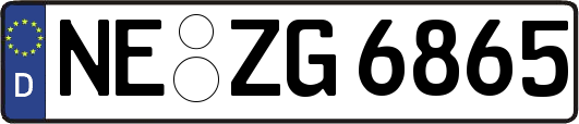 NE-ZG6865