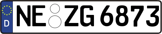 NE-ZG6873