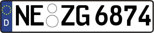 NE-ZG6874