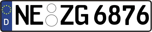 NE-ZG6876