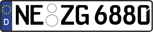 NE-ZG6880