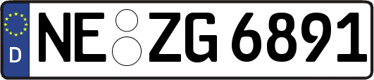 NE-ZG6891