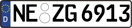 NE-ZG6913