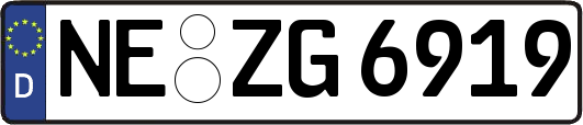 NE-ZG6919