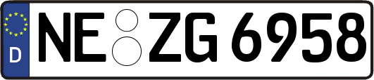 NE-ZG6958